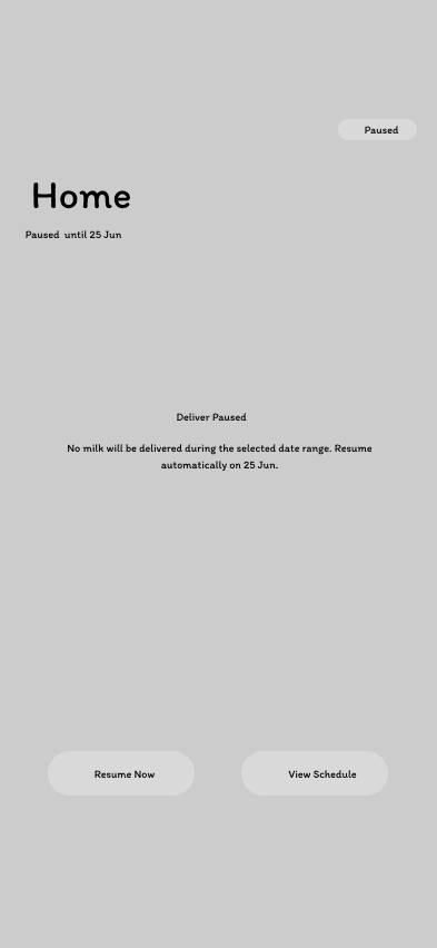 Paused State Wireframe